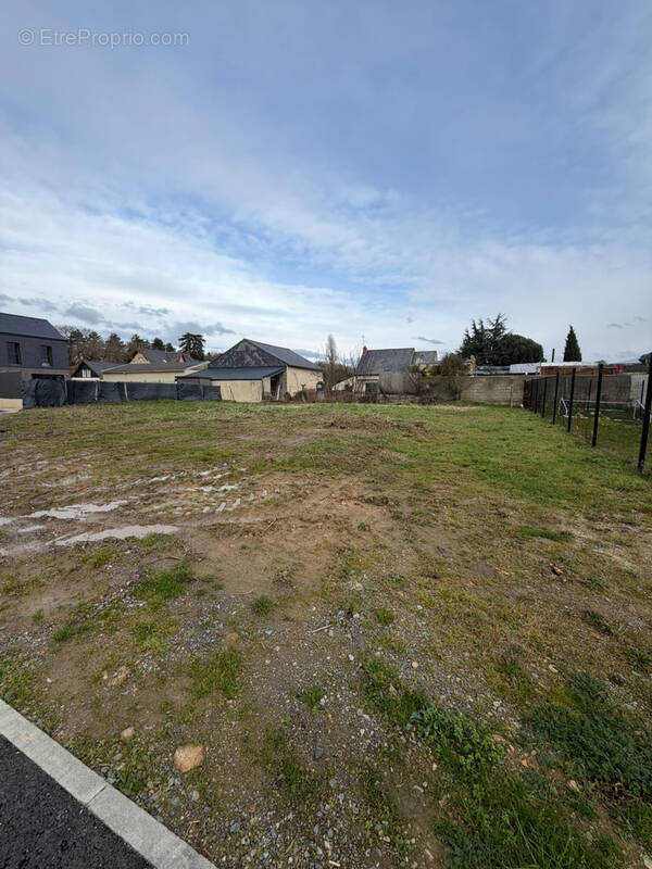 Terrain à SAINT-BARTHELEMY-D'ANJOU