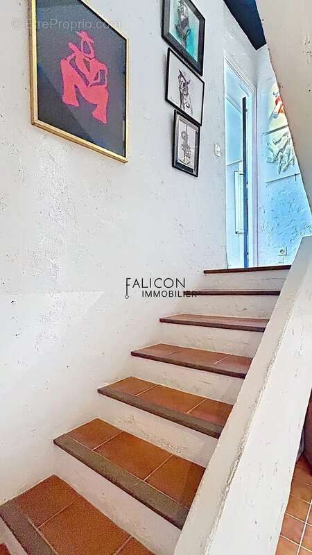 Maison à FALICON