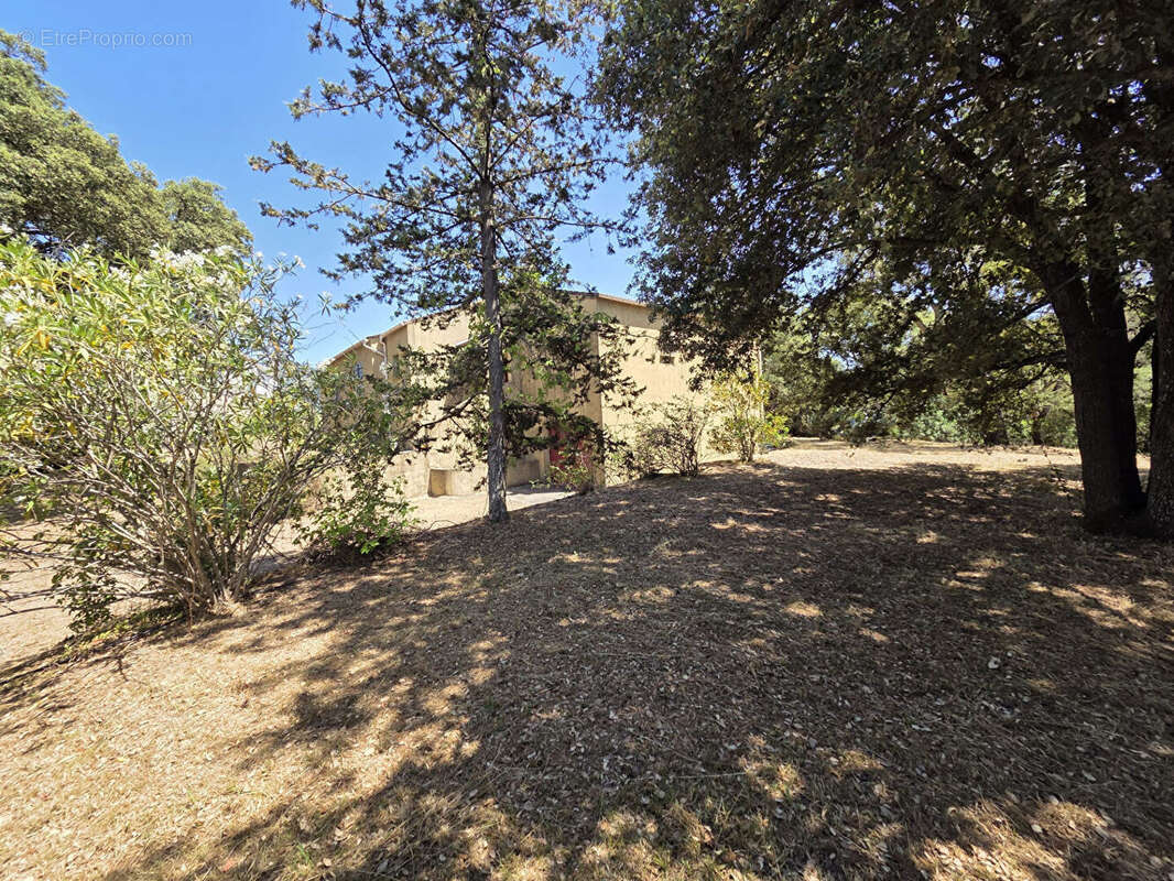 Maison à SARROLA-CARCOPINO
