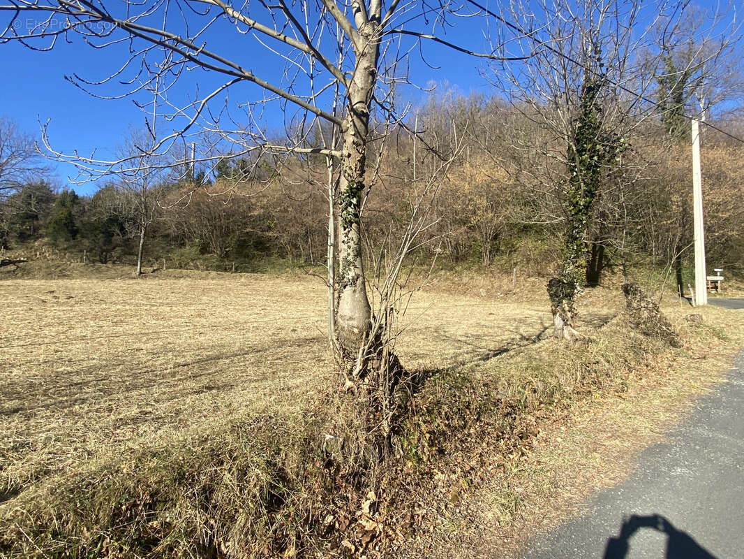 Terrain à PRATS-DE-MOLLO-LA-PRESTE