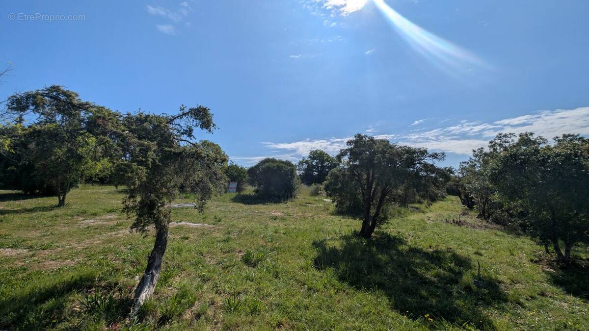 Terrain à CAZEVIEILLE