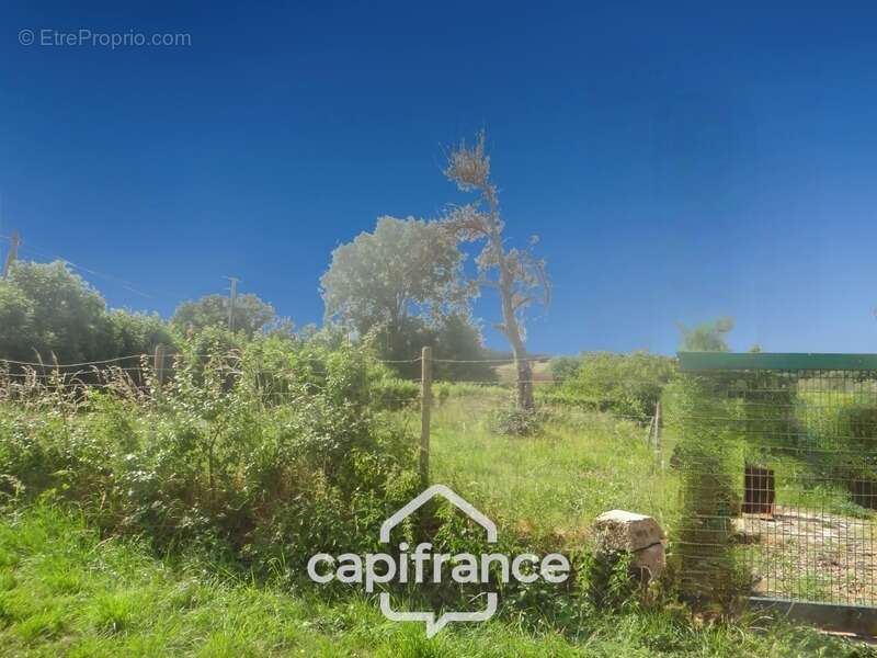 Maison à vendre  ECHASSIERES (03) Maison plus dépendances sur terrain de 2288 m2 - photo 14