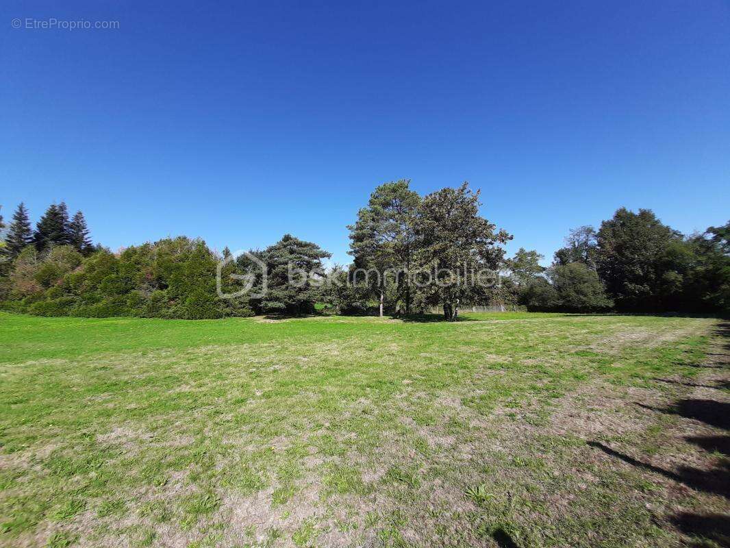 Terrain à COGNAC-LA-FORET