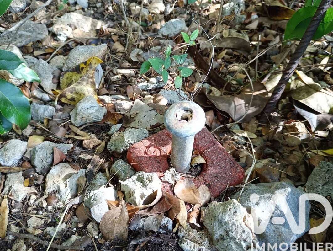 Photo 5 - Terrain à ANSE-BERTRAND