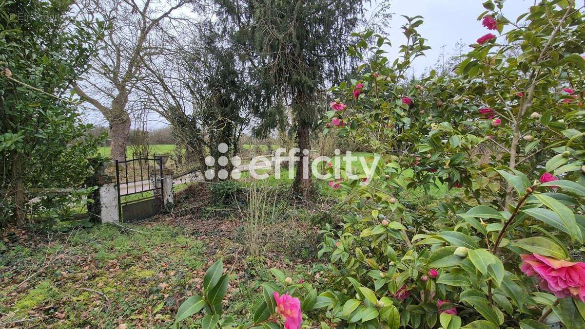 Maison 207 m² à Mandeville-En-Bessin  - photo 23