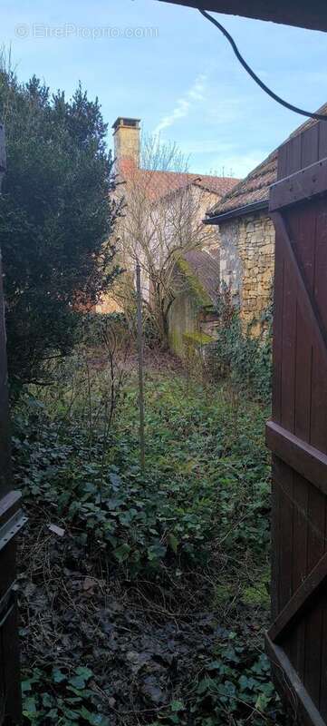 Photo 9 - Maison à SALVIAC
