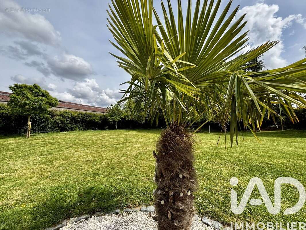 Maison 216 m² à Houtkerque  - photo 3
