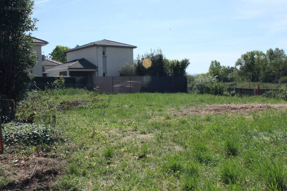 Terrain à RILLIEUX-LA-PAPE