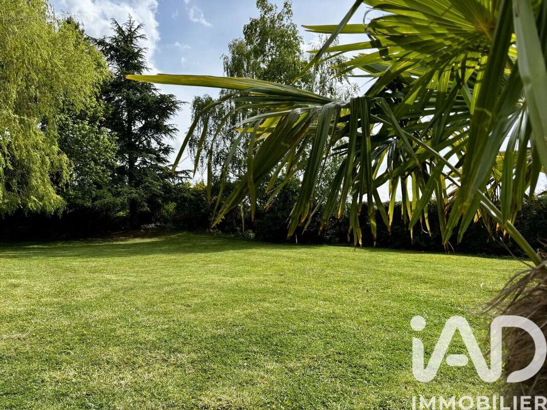 Maison 216 m² à Houtkerque  - photo 2