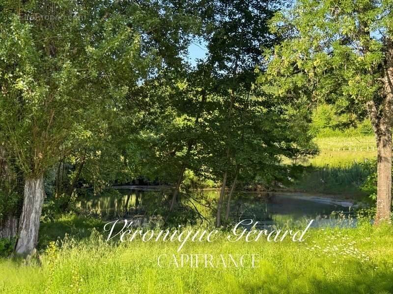 Maison à SAINTE-COLOMBE