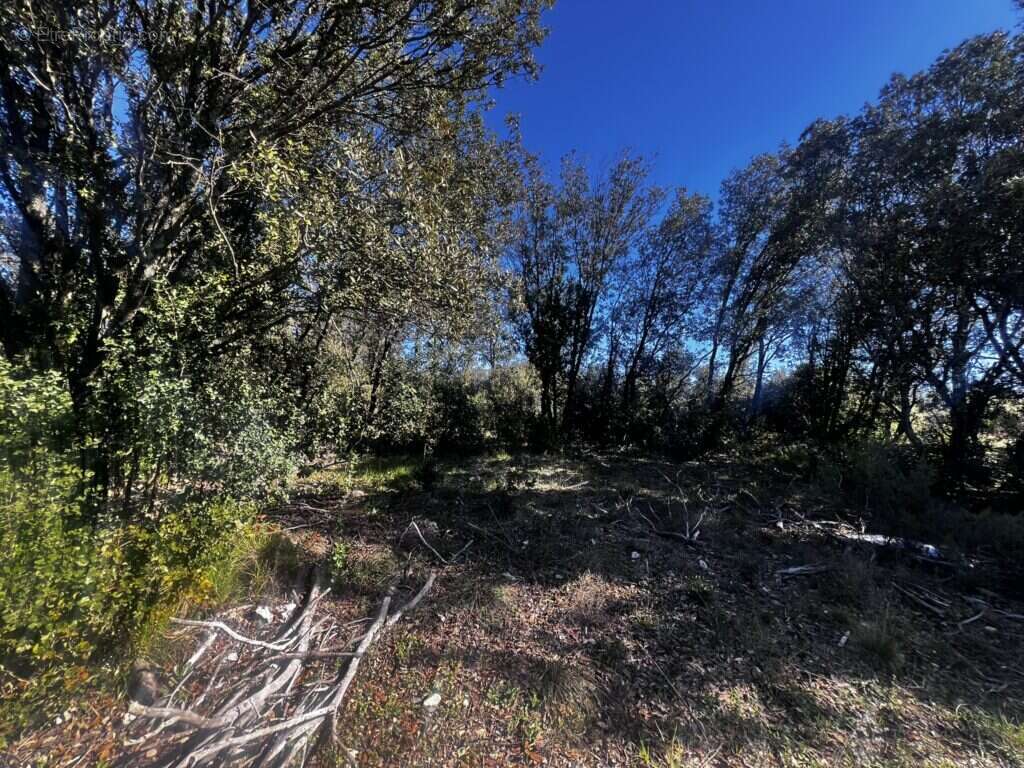 Terrain à BARJAC