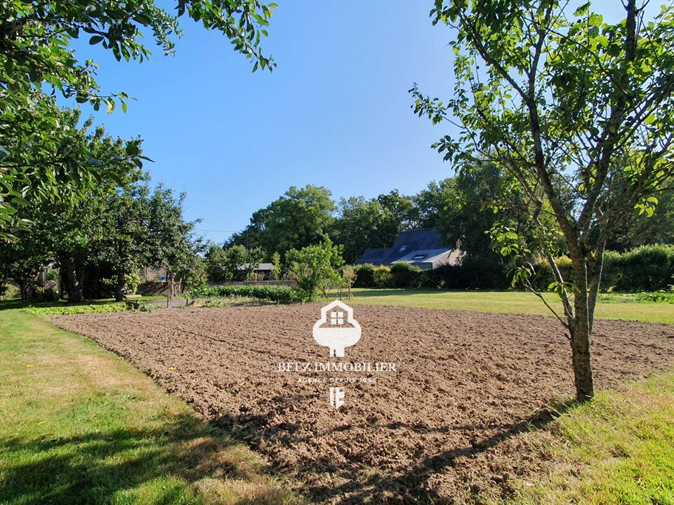 Terrain à LOCOAL-MENDON