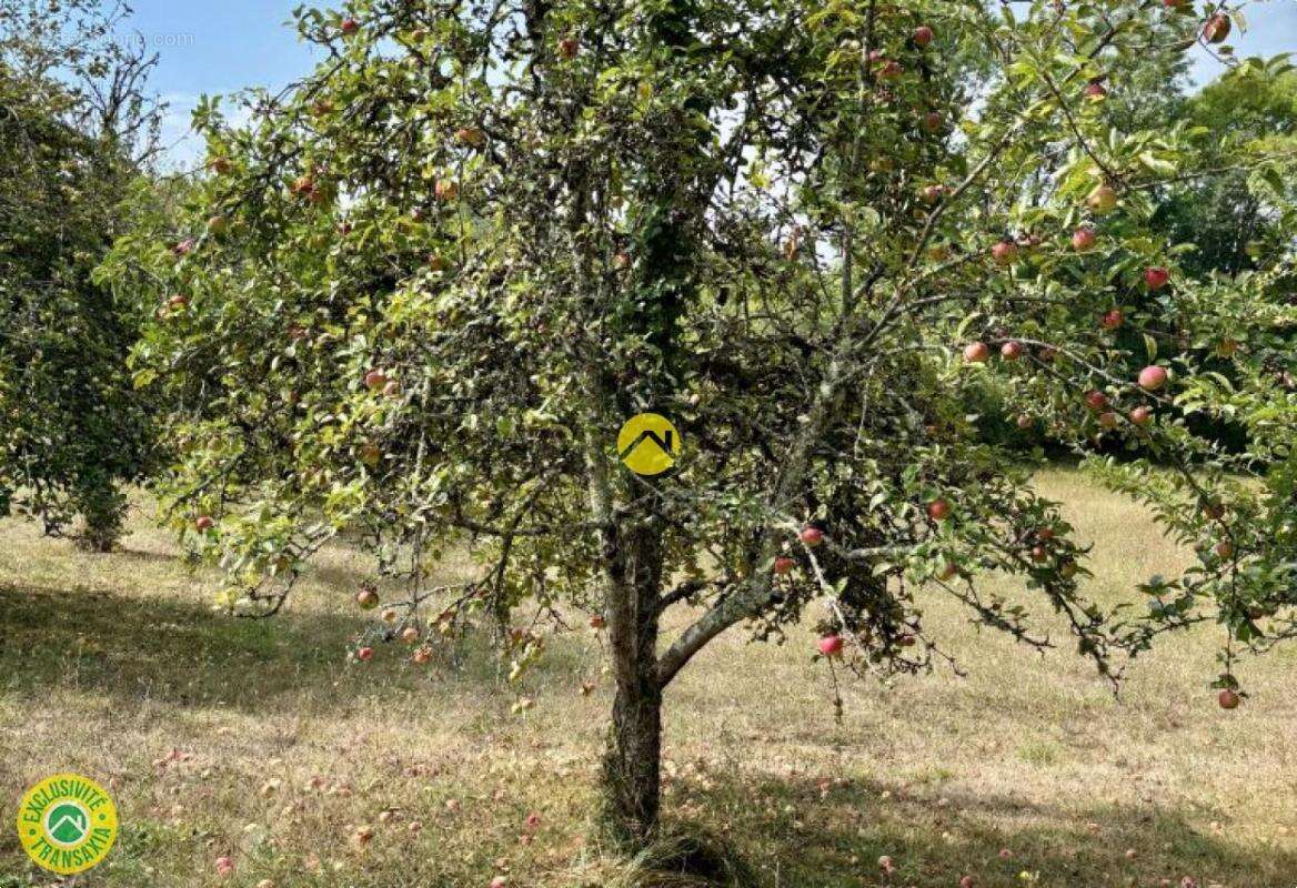 Maison à SAINTE-ALVERE
