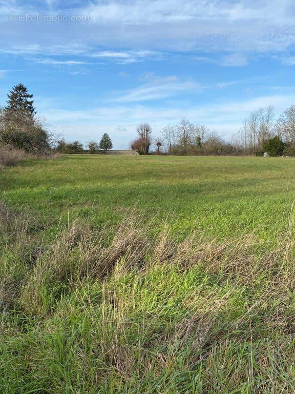 Terrain à MONTIGNY