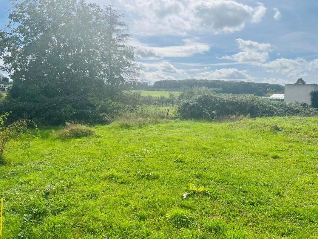 Photo 3 - Terrain à ROUSSY-LE-VILLAGE