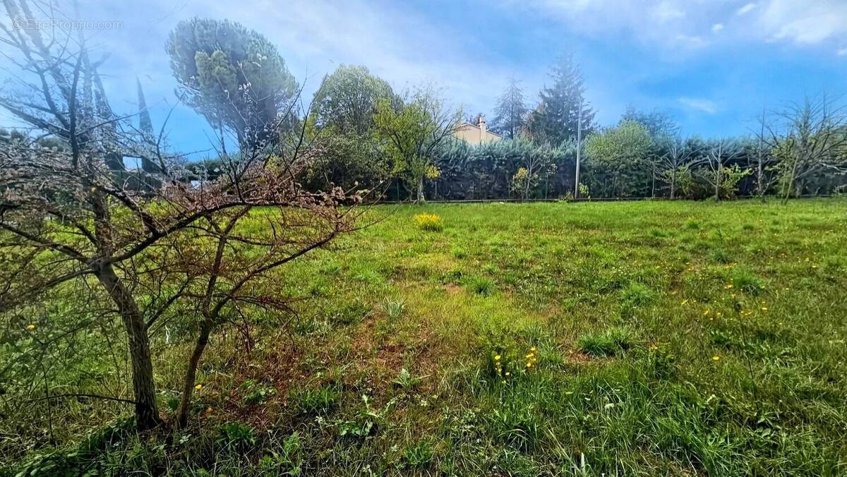 Terrain à NANS-LES-PINS