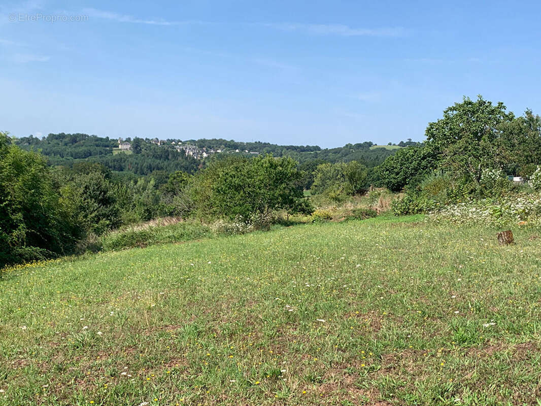 Terrain à CHABRIGNAC
