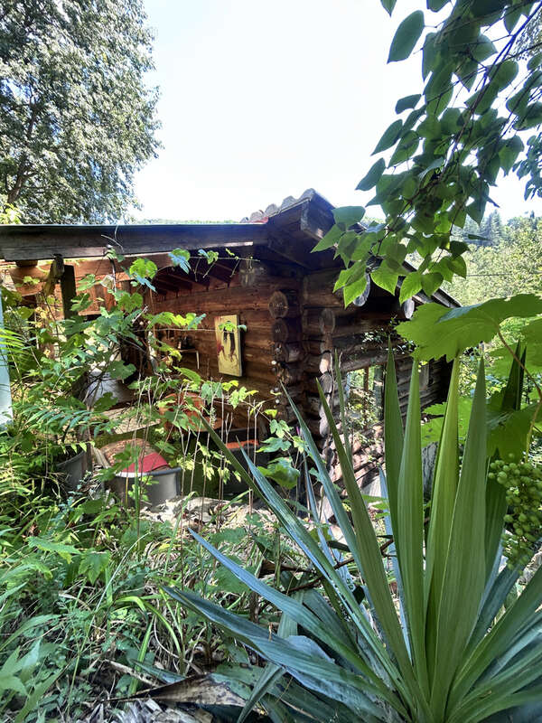 En Cévennes, maison avec terrain, à vendre - photo 6