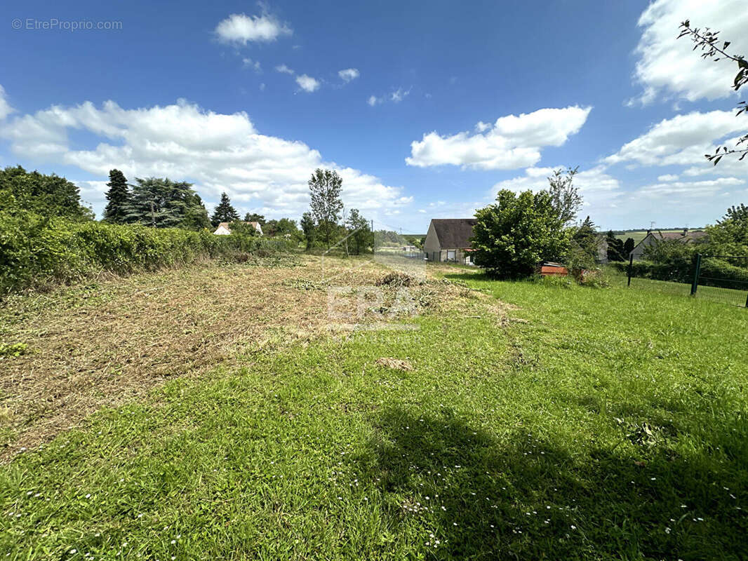 Terrain 1535m² à moret-loing-et-orvanne - photo 3