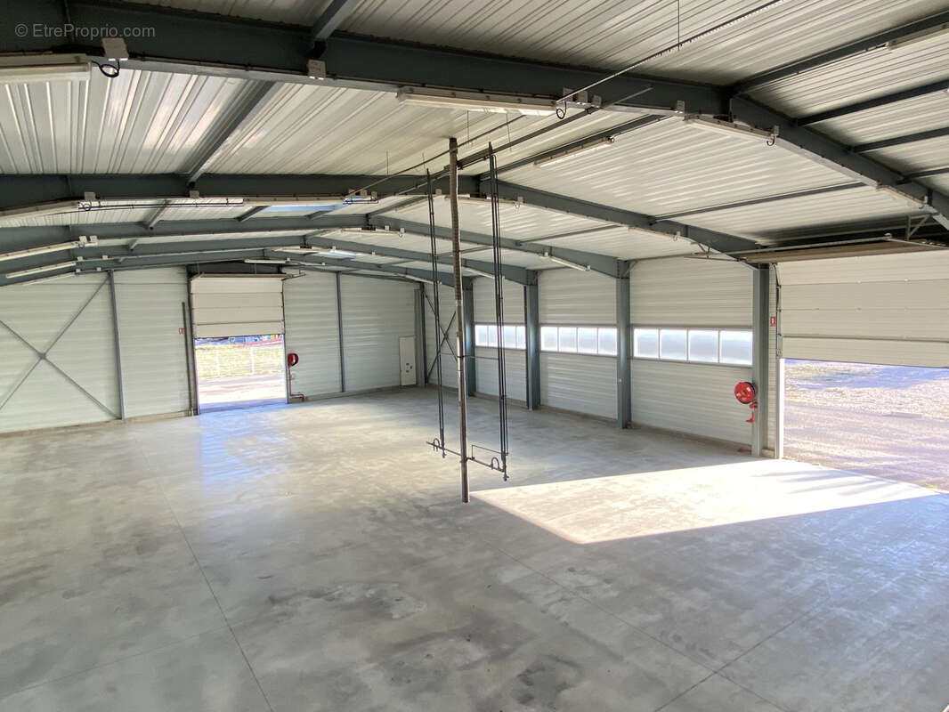 Commerce à RIVESALTES