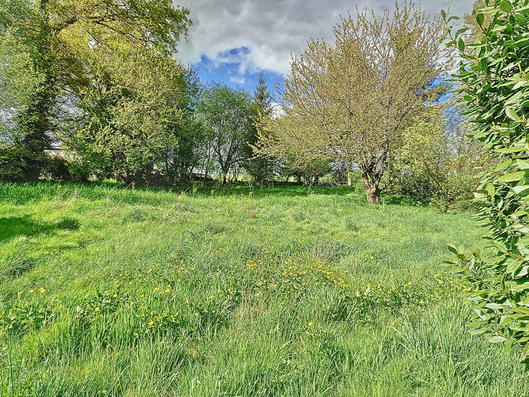Maison à LE ROC-SAINT-ANDRE