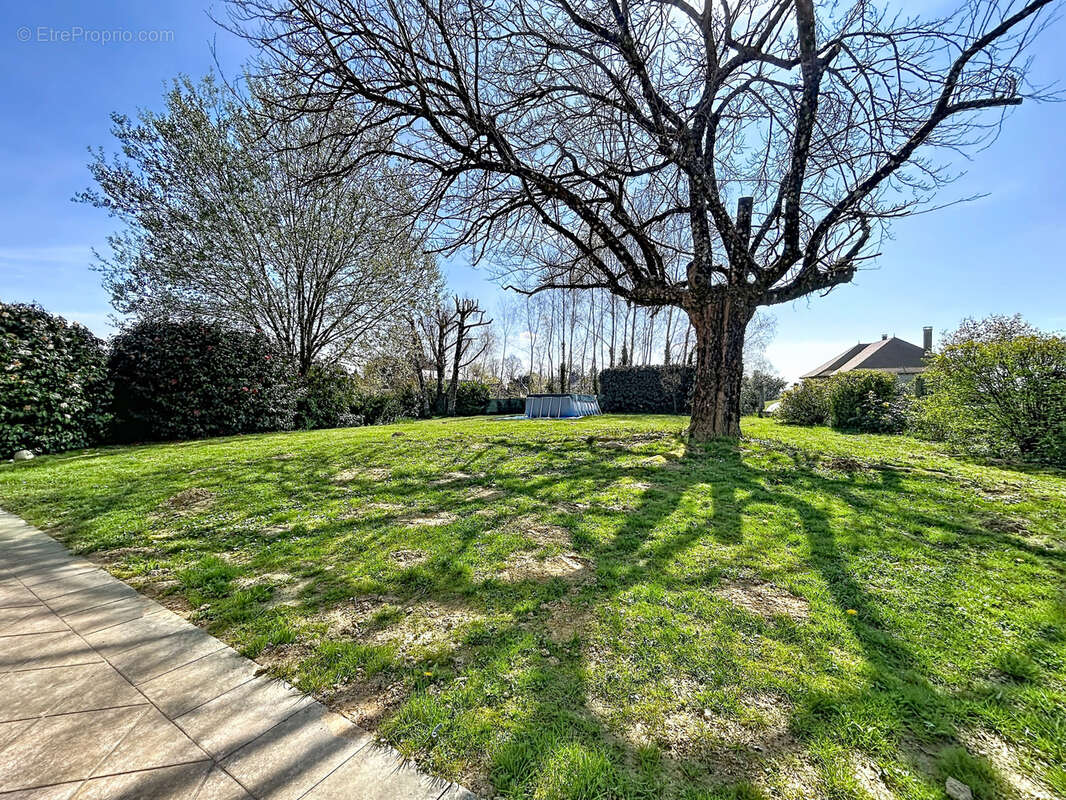 Maison à SAINTE-FEREOLE