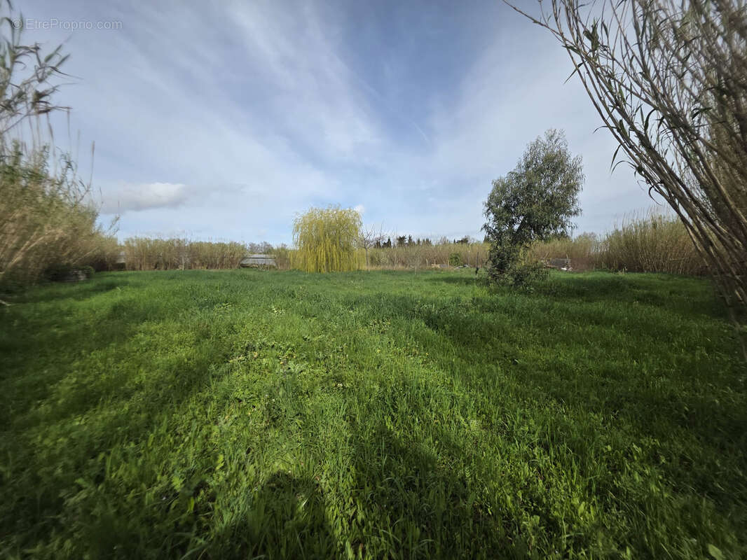 Terrain à VILLELONGUE-DE-LA-SALANQUE