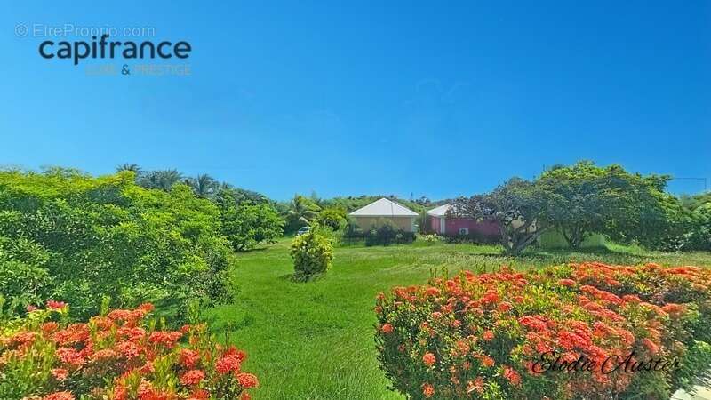 Maison à SAINT-FRANCOIS