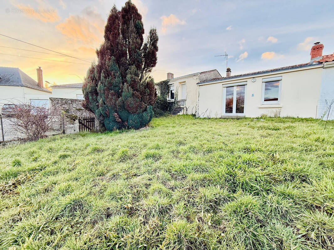 Maison à SAINT-JULIEN-DE-CONCELLES
