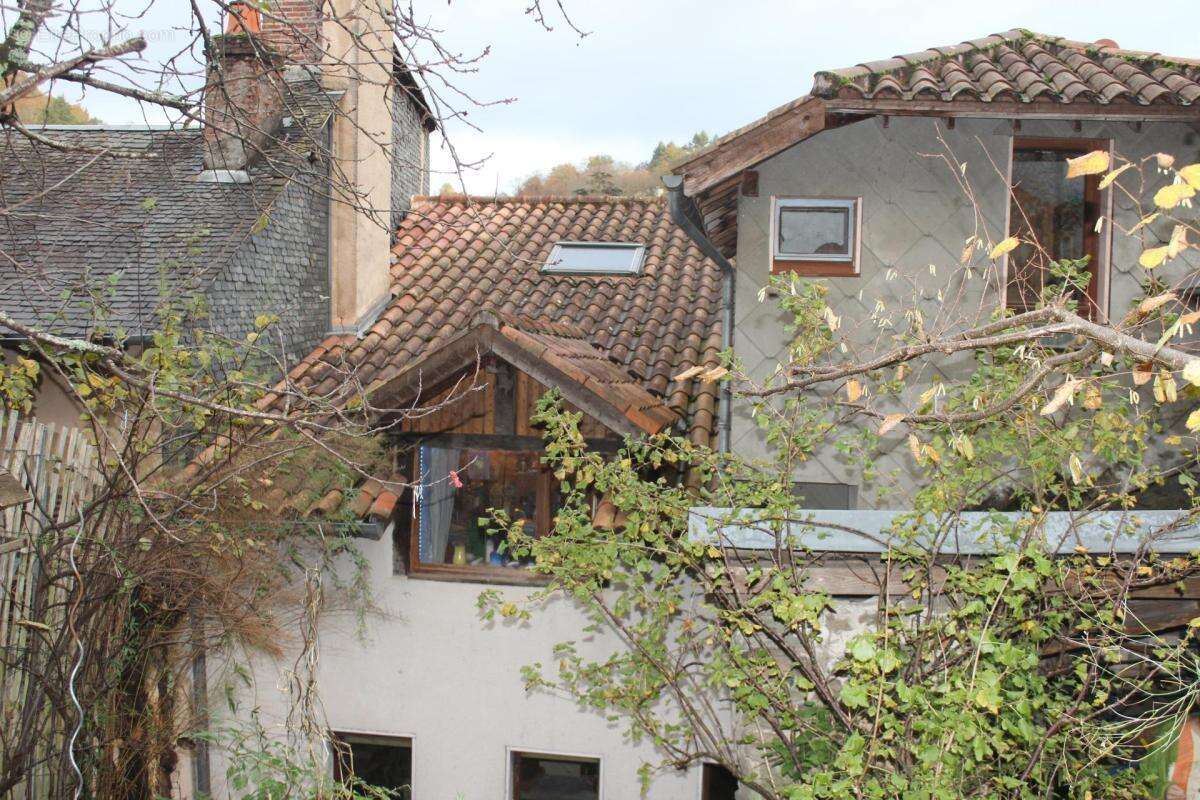 Maison de ville  XVIIe avec jardin-boutique - photo 3