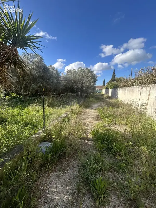 Beaucaire maison plain pied 80m2 a rafraichir avec dependances sur parcelle 832m2 - photo 4