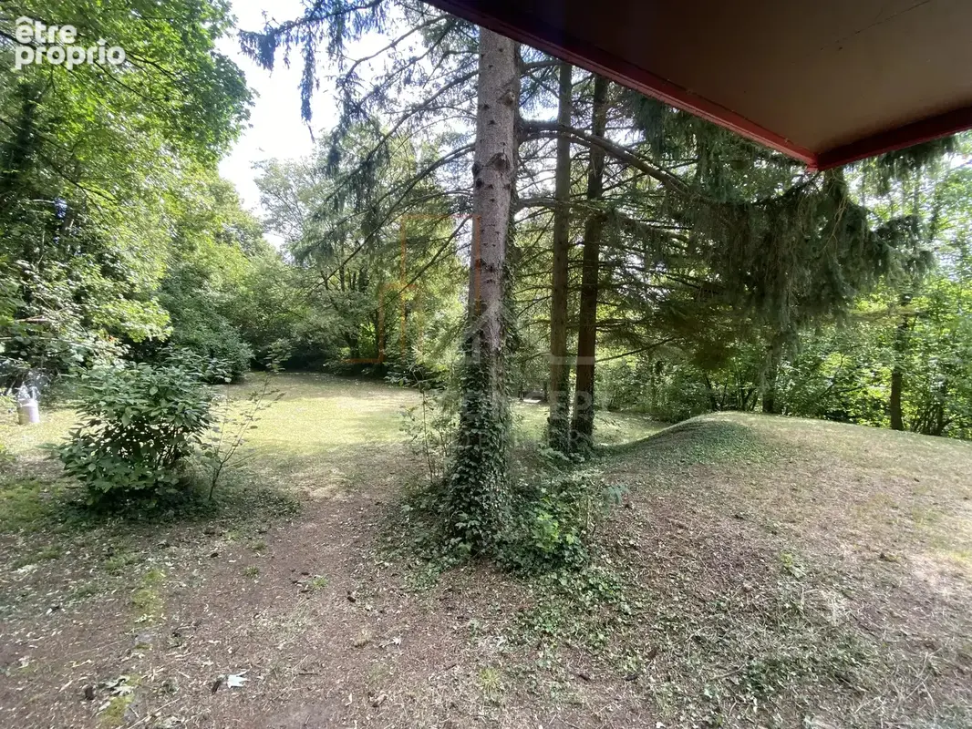 Terrain de loisirs avec chalet – Un véritable havre de paix - photo 11