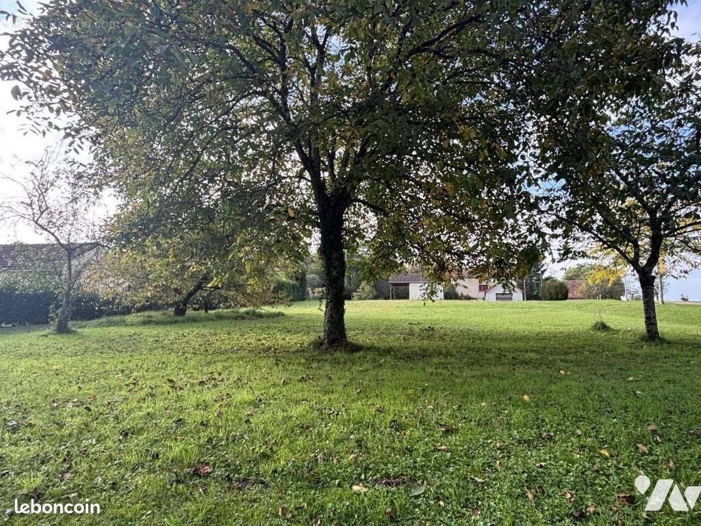 Terrain à MEHUN-SUR-YEVRE