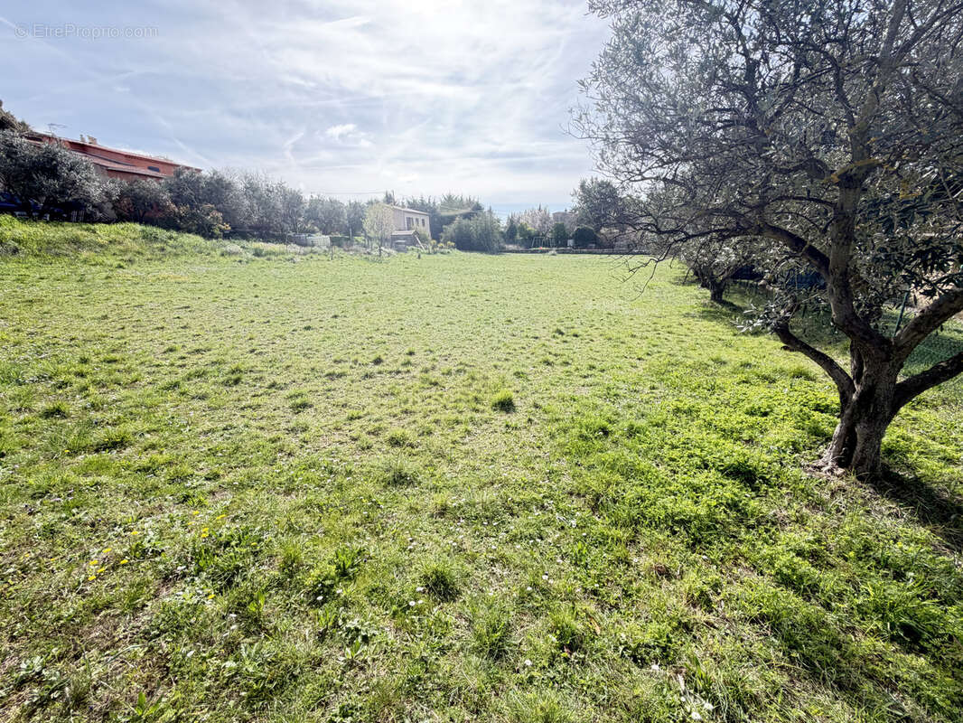 Terrain à AUPS