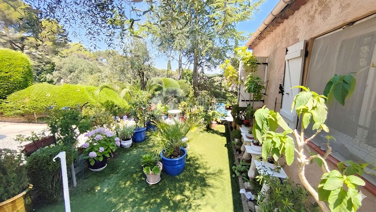 Viager occupé sans rente - photo 4