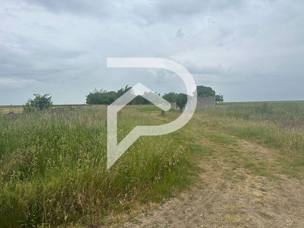 Terrain à BRETAGNOLLES