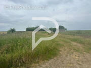 Terrain à BRETAGNOLLES