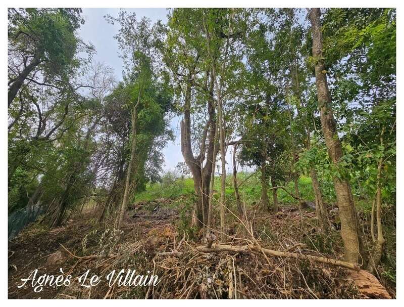 Terrain à BOUILLANTE