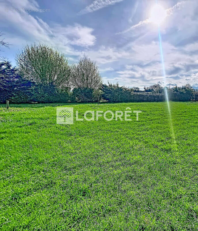 Terrain à PRISSE