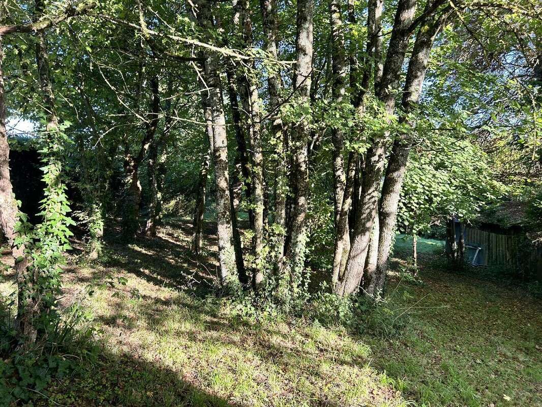 IMG2309 - Terrain à NIORT