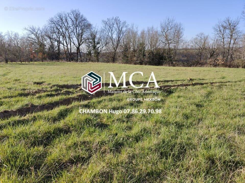 Terrain à COLAYRAC-SAINT-CIRQ