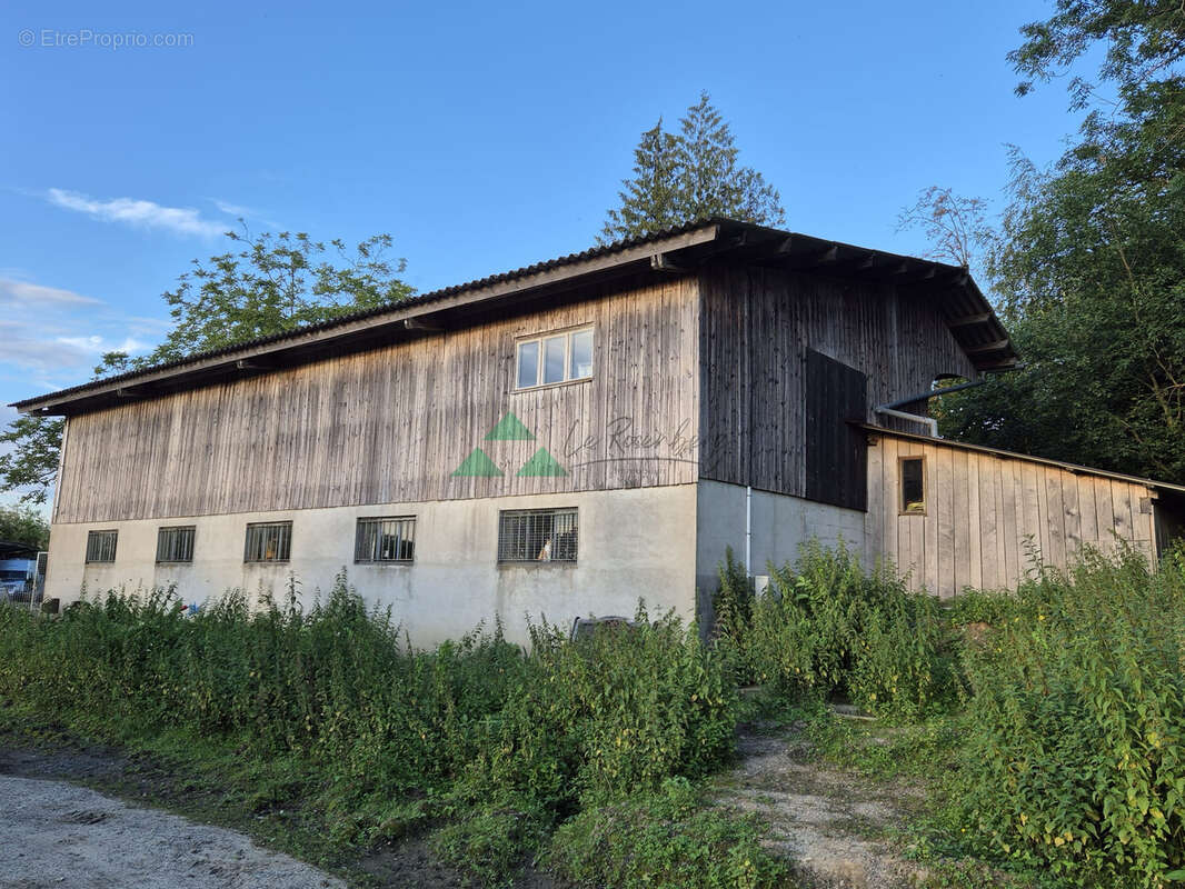Terrain à VIEUX-FERRETTE