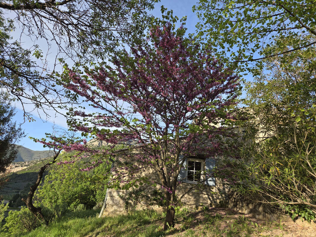 Maison à SAHUNE