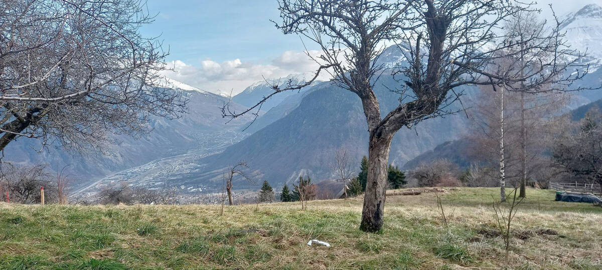 Terrain à JARRIER
