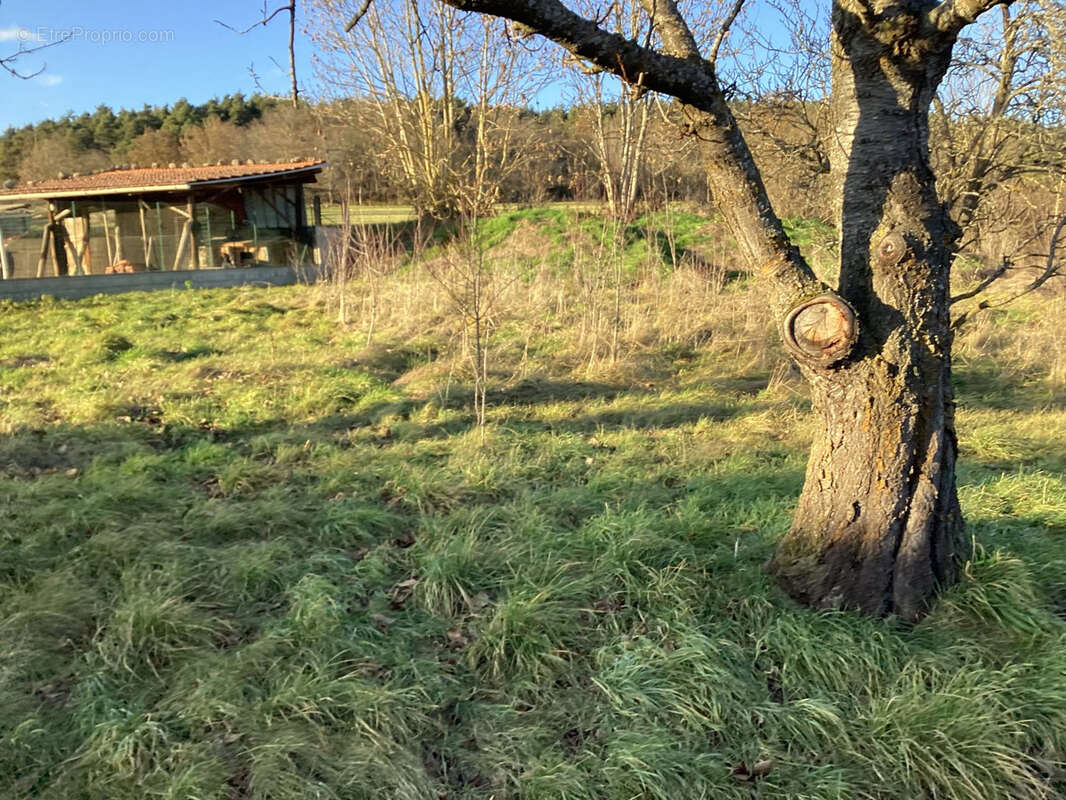 Ferme avec dépendances A RENOVER - sur terrain d'env 1200 m2 - photo 30
