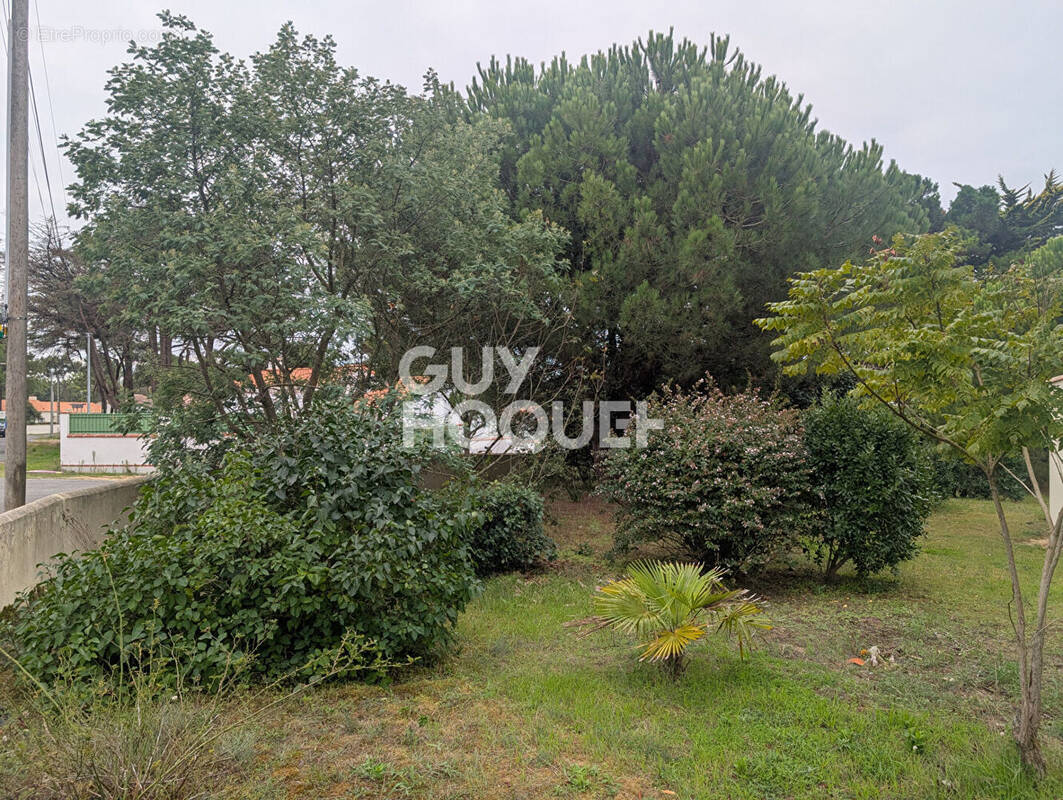 Terrain à SAINT-HILAIRE-DE-RIEZ