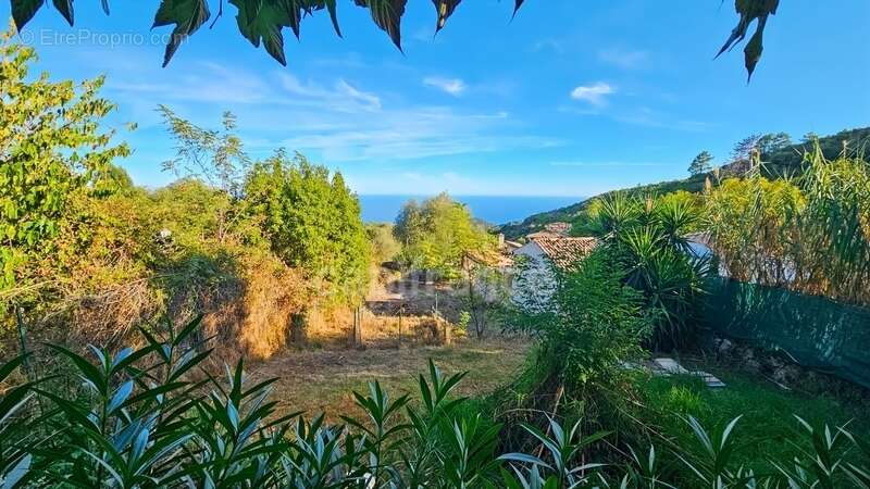 Maison à SARI-SOLENZARA