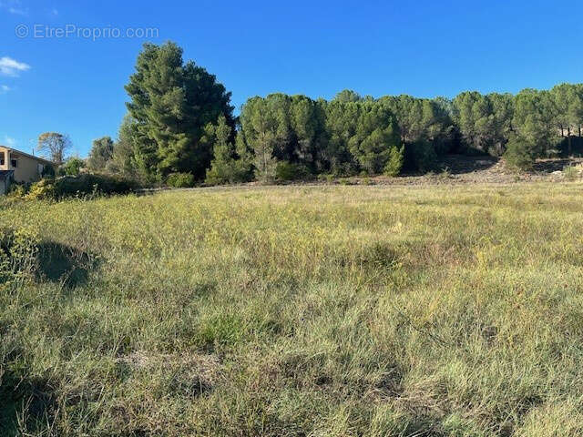 Terrain viabilise - 2 850m2 - a 6km de limoux - photo 2