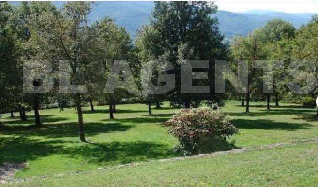 IMG_0850 - Maison à SAINT-AMANS-VALTORET