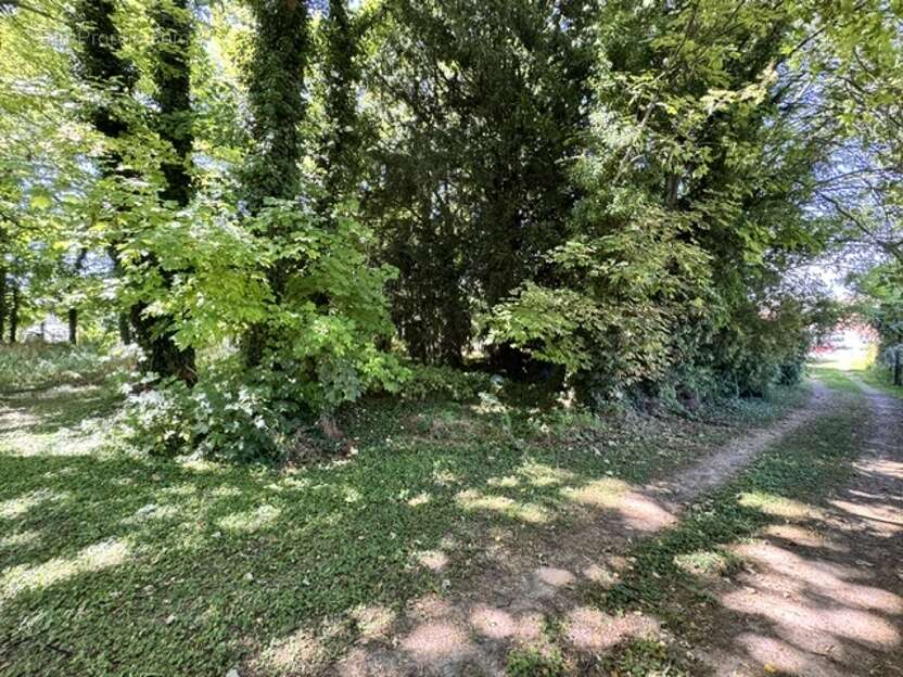 Terrain 1922 m² à Pontfaverger-Moronvilliers  - photo 3